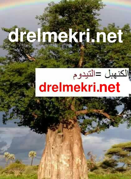 تجمخت ( بوحباب ) :الفوائد الصحية والغذائية