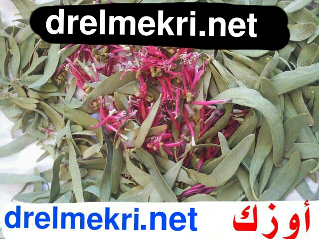تضويق الكس والمهبل للنساء بعدالولادة وترقيع غشاءالبكاره للبنات