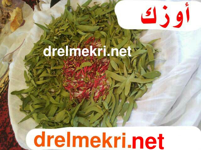 نبتة أوزك بالصور : الفوائد العلاجية